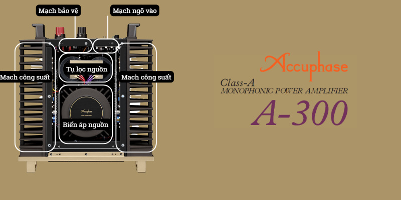 ACCUPHASE A300