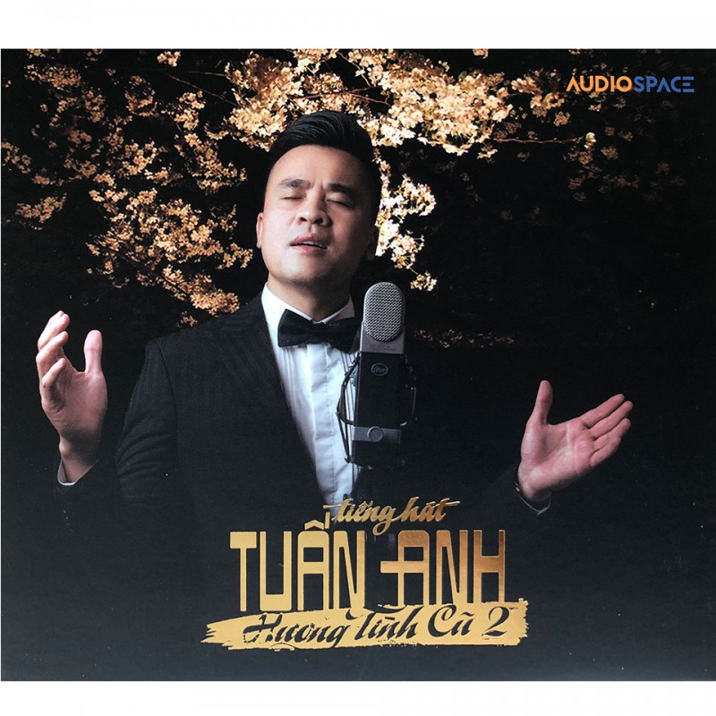 DIA CD TUAN ANH - HUONG TINH CU - VOL 2