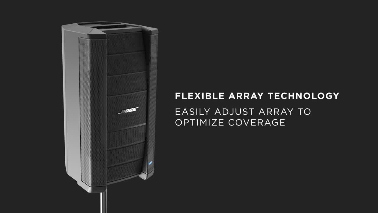 BOSE F1 812 FLEXXIBLE ARRAY PASSIVE