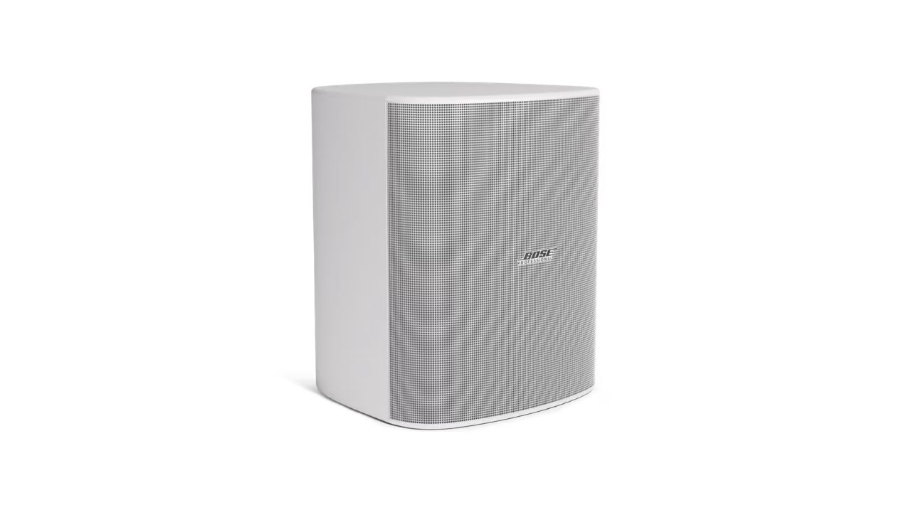 Loa treo tường Bose DesignMax DM12SE ch&iacute;nh h&atilde;ng gi&aacute; rẻ