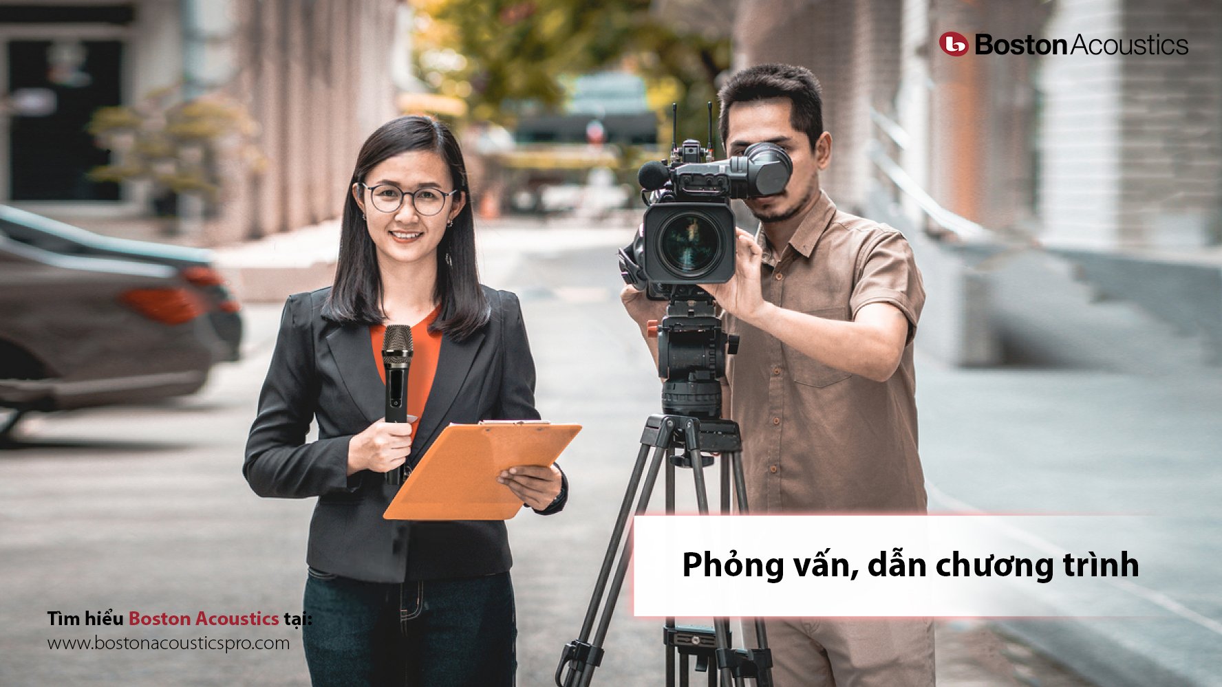 BỘ MICRO KHÔNG DÂY BOSTON ACOUSTICS WMS210