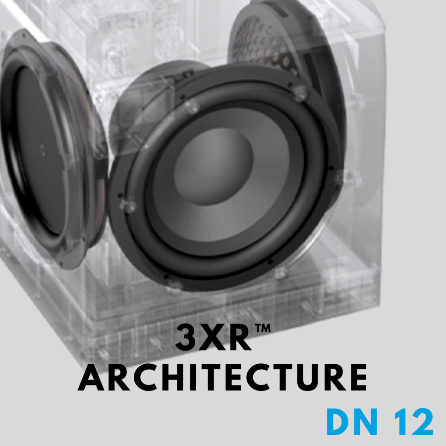 LOA SUBWOOFER DEFINITIVE TECHNOLOGY DN12