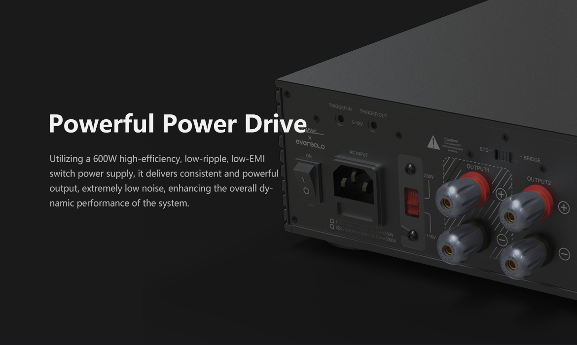 EVERSOLO AMP-F2