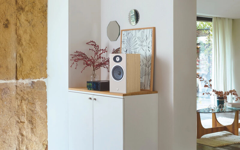 LOA FOCAL THEVA N1