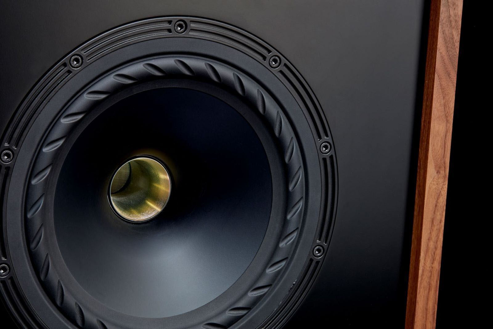 FYNE AUDIO VINTAGE CLASSIC 12