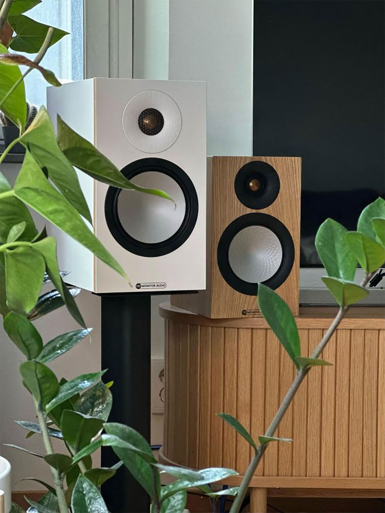 Loa Monitor Audio Bronze 50 7G ch&iacute;nh h&atilde;ng gi&aacute; rẻ nhất 