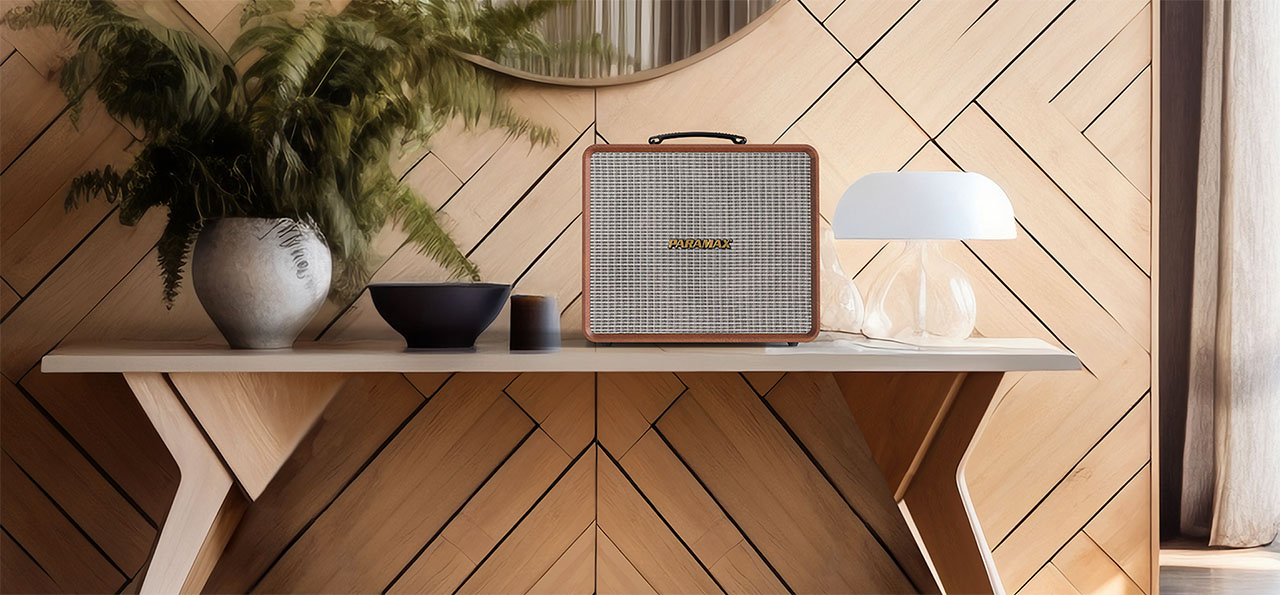 Loa k&eacute;o Karaoke Bluetooth di động Paramax Nice chinh h&atilde;ng gi&aacute; rẻ nhất