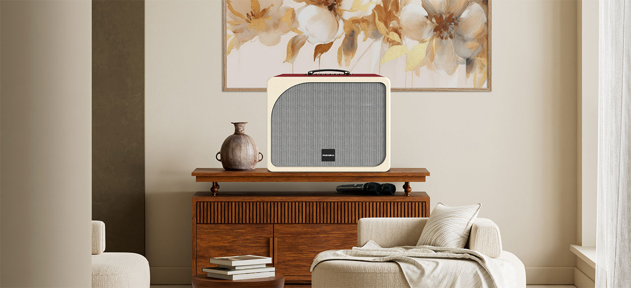 Loa k&eacute;o Karaoke Bluetooth di động Paramax Evox ch&iacute;nh h&atilde;ng gi&aacute; rẻ nhất