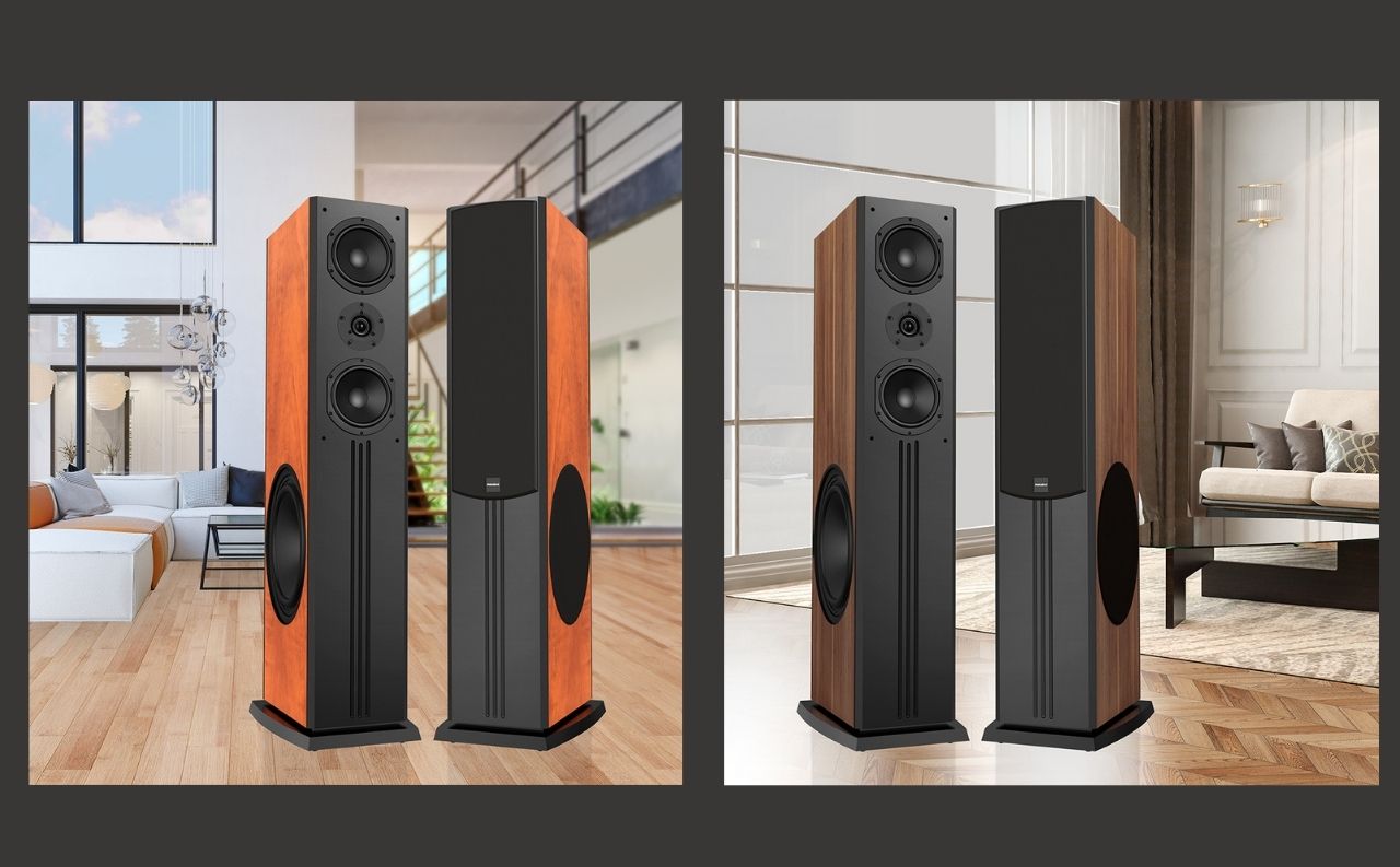 Loa Paramax D88 Limited ch&iacute;nh h&atilde;ng gi&aacute; rẻ