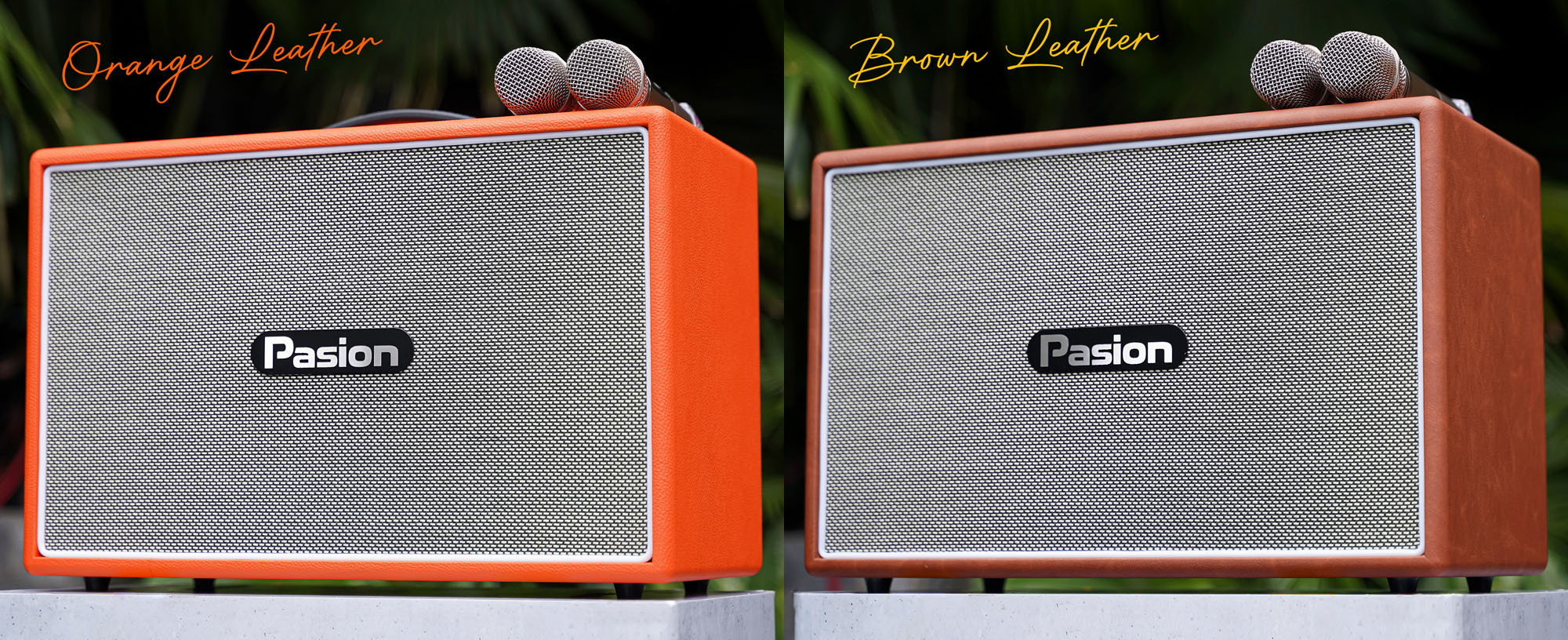 Loa k&eacute;o Karaoke Bluetooth di động Paramax Pasion Outro ch&iacute;nh h&atilde;ng mới nhất 2025