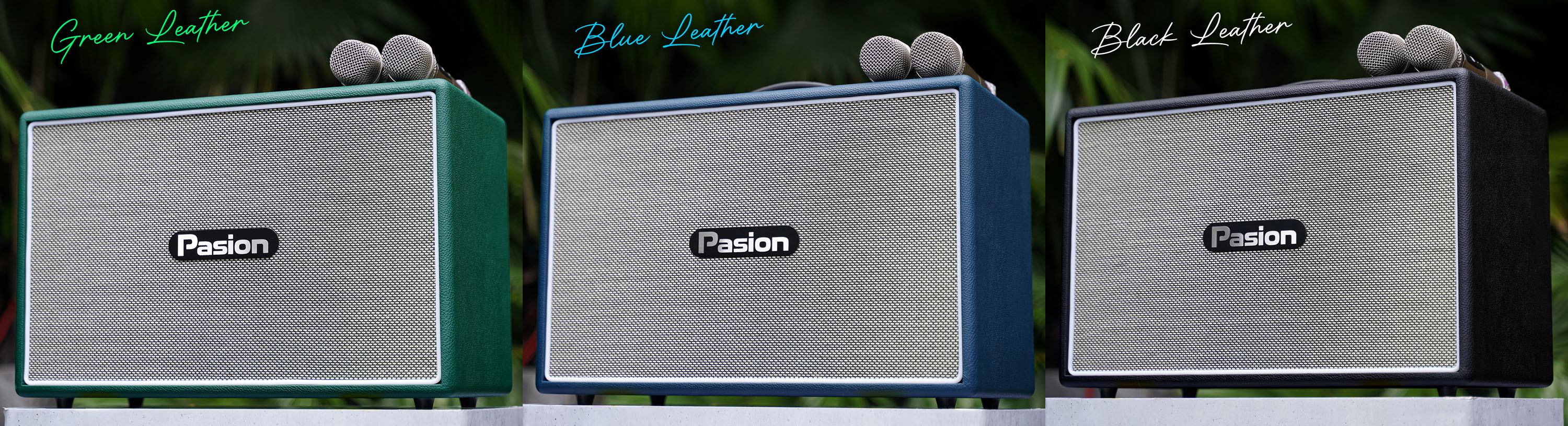 Loa k&eacute;o Karaoke Bluetooth di động Paramax Pasion Outro ch&iacute;nh h&atilde;ng mới nhất 2025