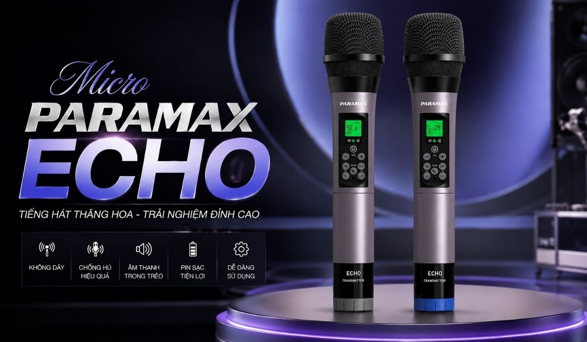 Micro karaoke Paramax Echo ch&iacute;nh h&atilde;ng gi&aacute; rẻ