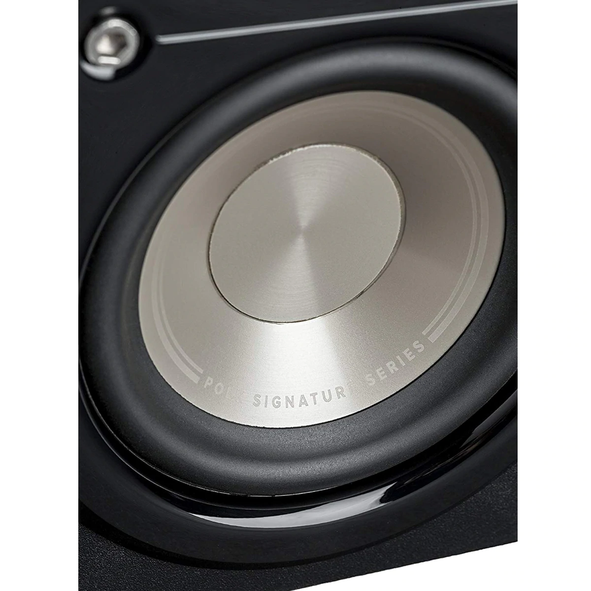 POLK AUDIO S10