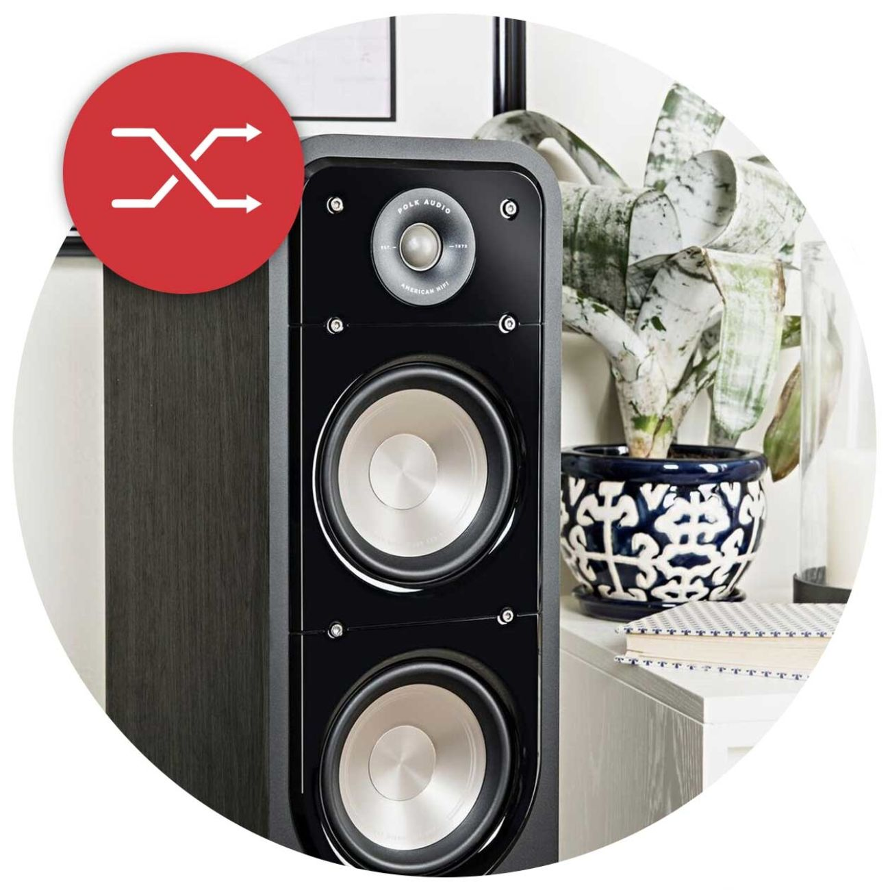 POLK AUDIO S55