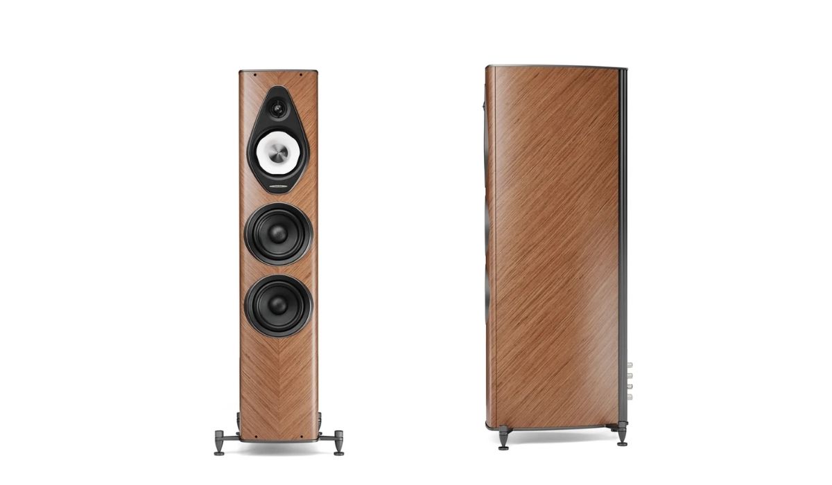 Loa Sonus Faber Olympica G3 III ch&iacute;nh h&atilde;ng gi&aacute; rẻ