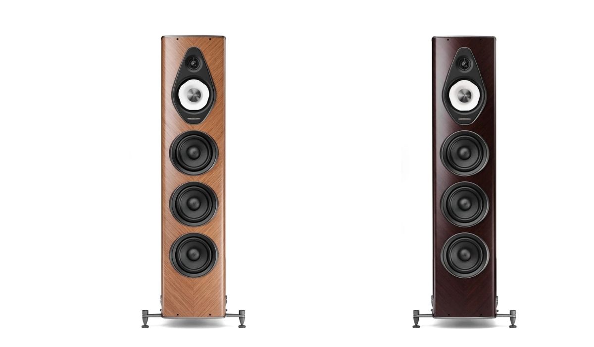 Loa Sonus Faber Olympica G3 V ch&iacute;nh h&atilde;ng gi&aacute; rẻ