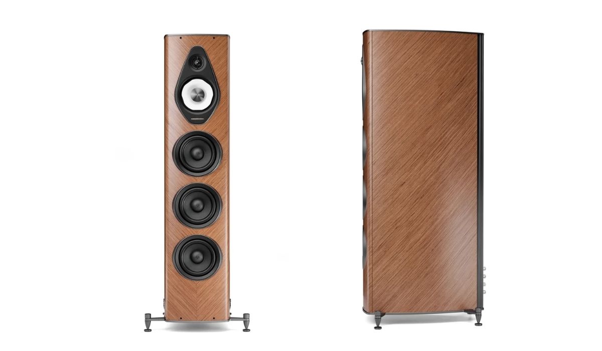 Loa Sonus Faber Olympica G3 V ch&iacute;nh h&atilde;ng gi&aacute; rẻ