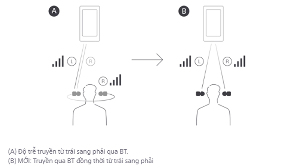 Tai nghe Sony WF-SP800N cho phép kết nối âm thanh đến 2 tai cùng lúc với chất lượng vượt trội 