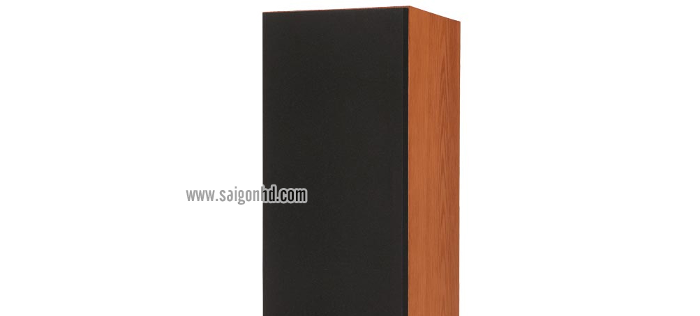 TANNOY REVOLUTION XT 8F