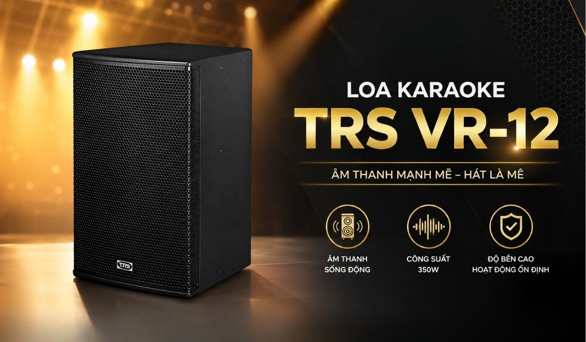 Loa Karaoke TRS VR-12 ch&iacute;nh h&atilde;ng gi&aacute; rẻ