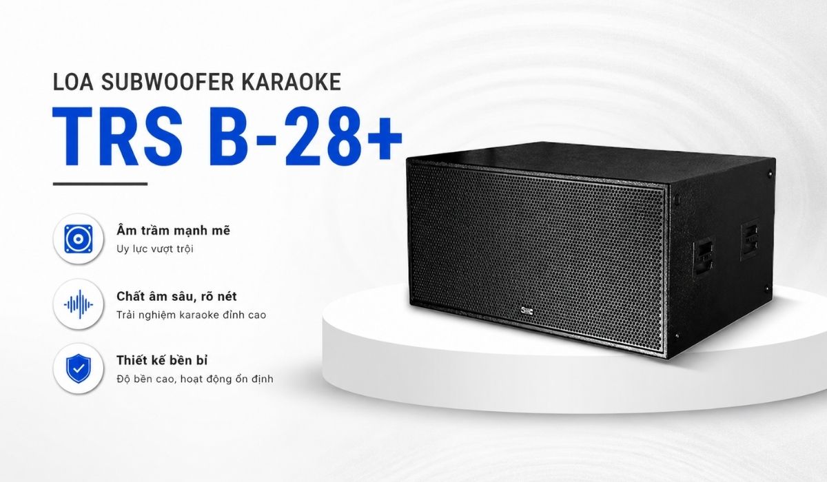 Loa Subwoofer Karaoke TRS B-28+ ch&iacute;nh h&atilde;ng gi&aacute; rẻ