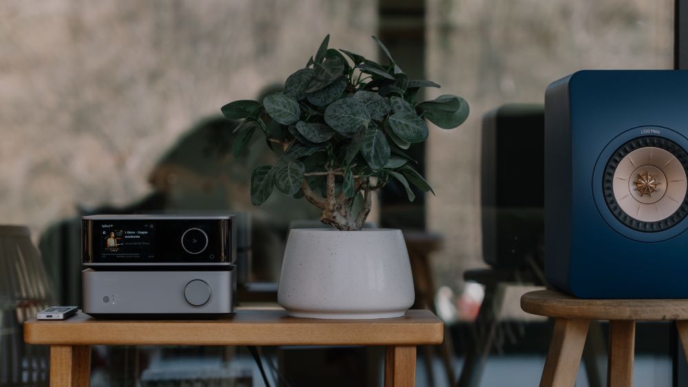 WiiM Vibelink Amp