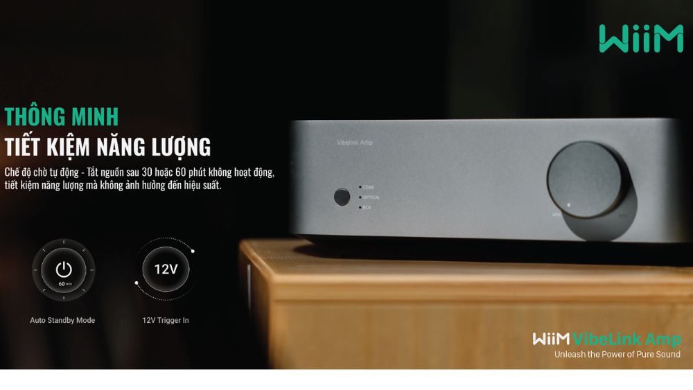 WiiM Vibelink Amp