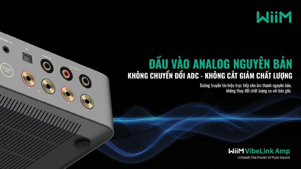 WiiM Vibelink Amp