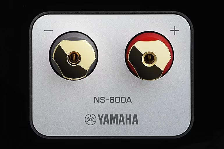 LOA YAMAHA NS 600A