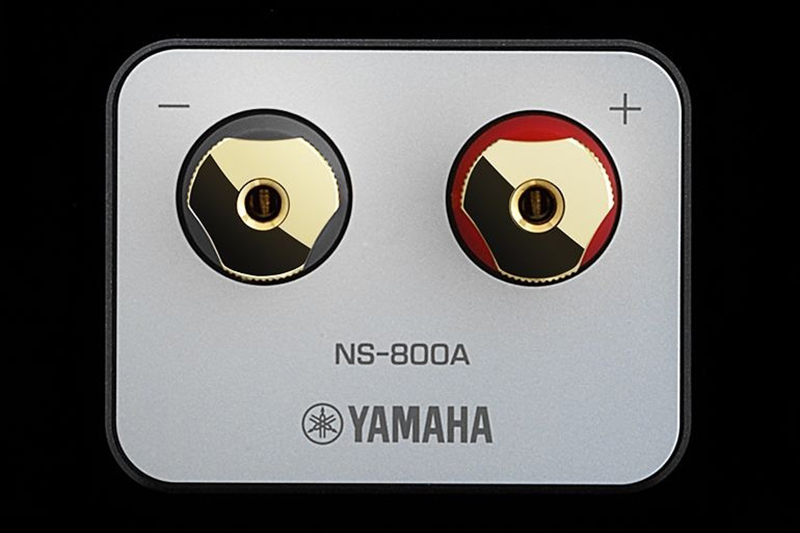 LOA YAMAHA NS 800A