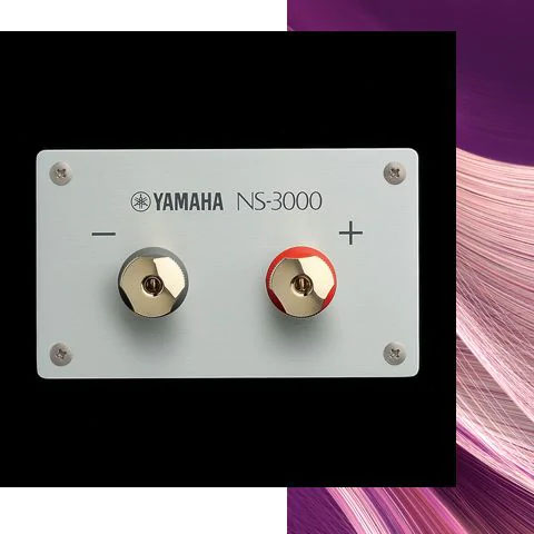 YAMAHA NS-3000