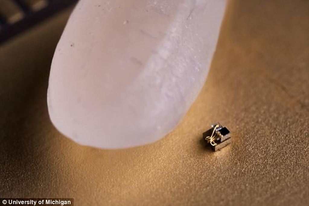 Ngắm nhìn chiếc máy tính nhỏ nhất Thế giới, nhỏ “tí ti” khi đặt cạnh hạt gạo