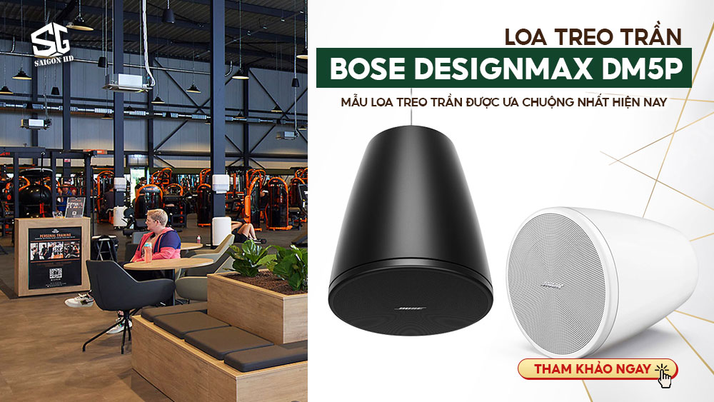 https://saigonhd.com/loa-bose-designmax-dm5p