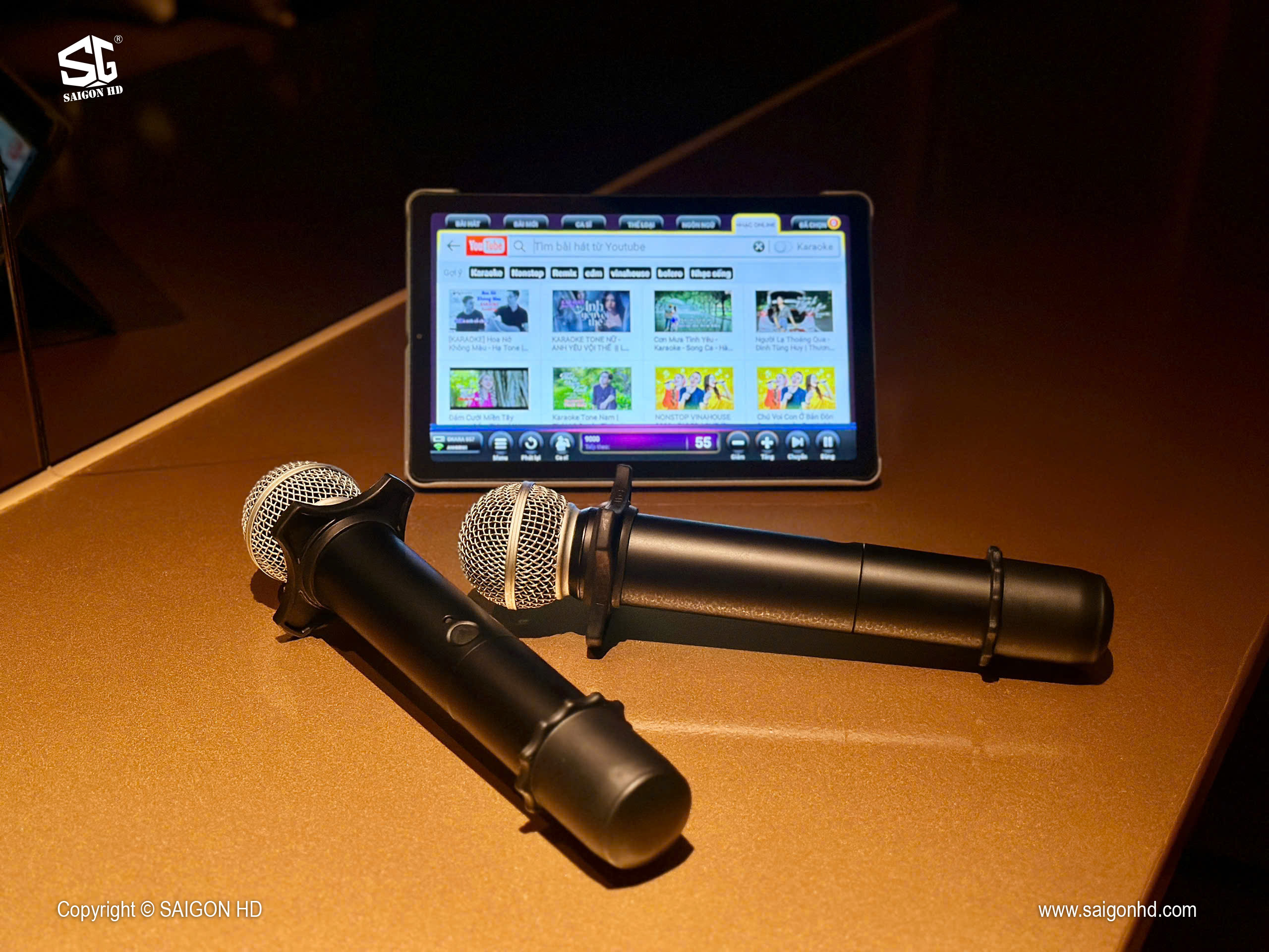 So S&aacute;nh Micro Dynamic v&agrave; Condenser &ndash; N&ecirc;n D&ugrave;ng Loại N&agrave;o Cho Karaoke & Thu &Acirc;m?