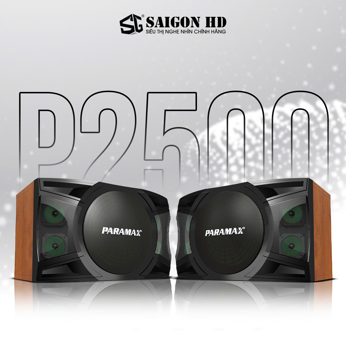 Top Loa Karaoke Được Ưa Chuộng Nhất 2025 – Đáng Mua Nhất Hiện Nay