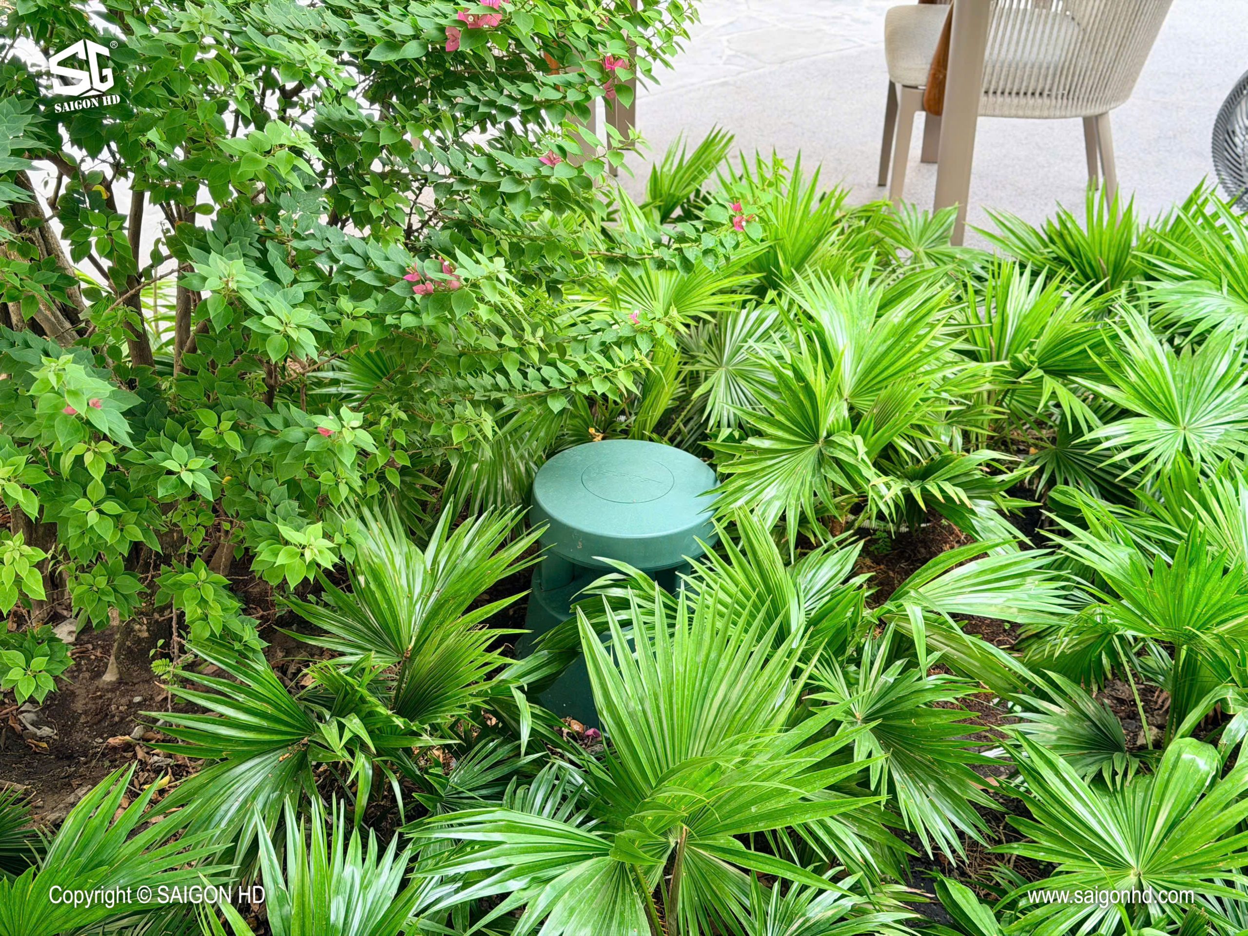 CHON AM THANH CHO CAFE SAN VUON