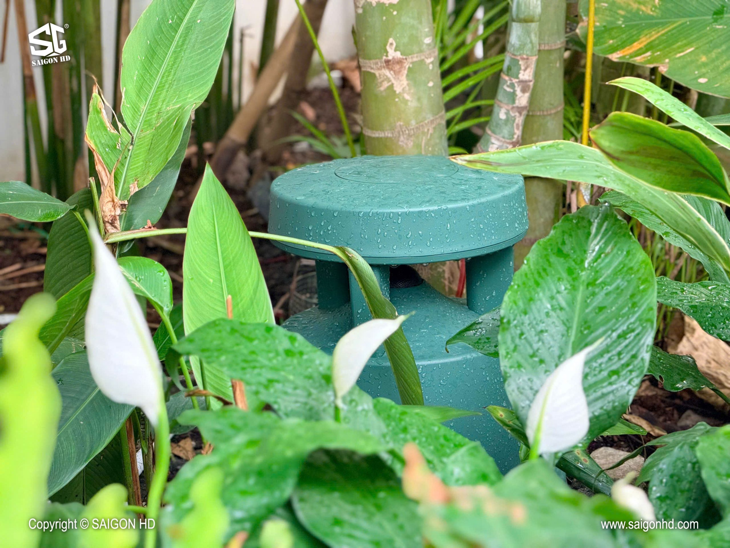 CHON AM THANH CHO CAFE SAN VUON