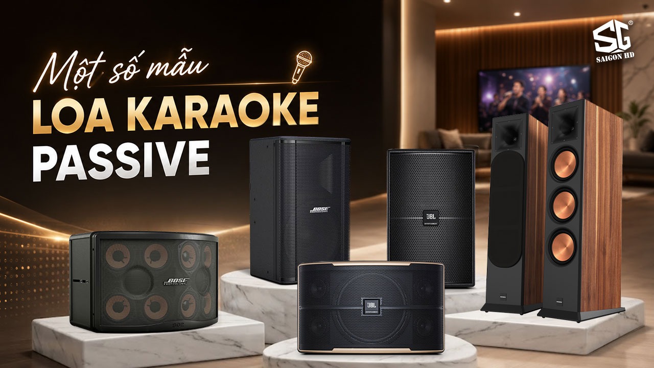 Một số mẫu loa Karaoke Passive phổ biến nhất hiện nay
