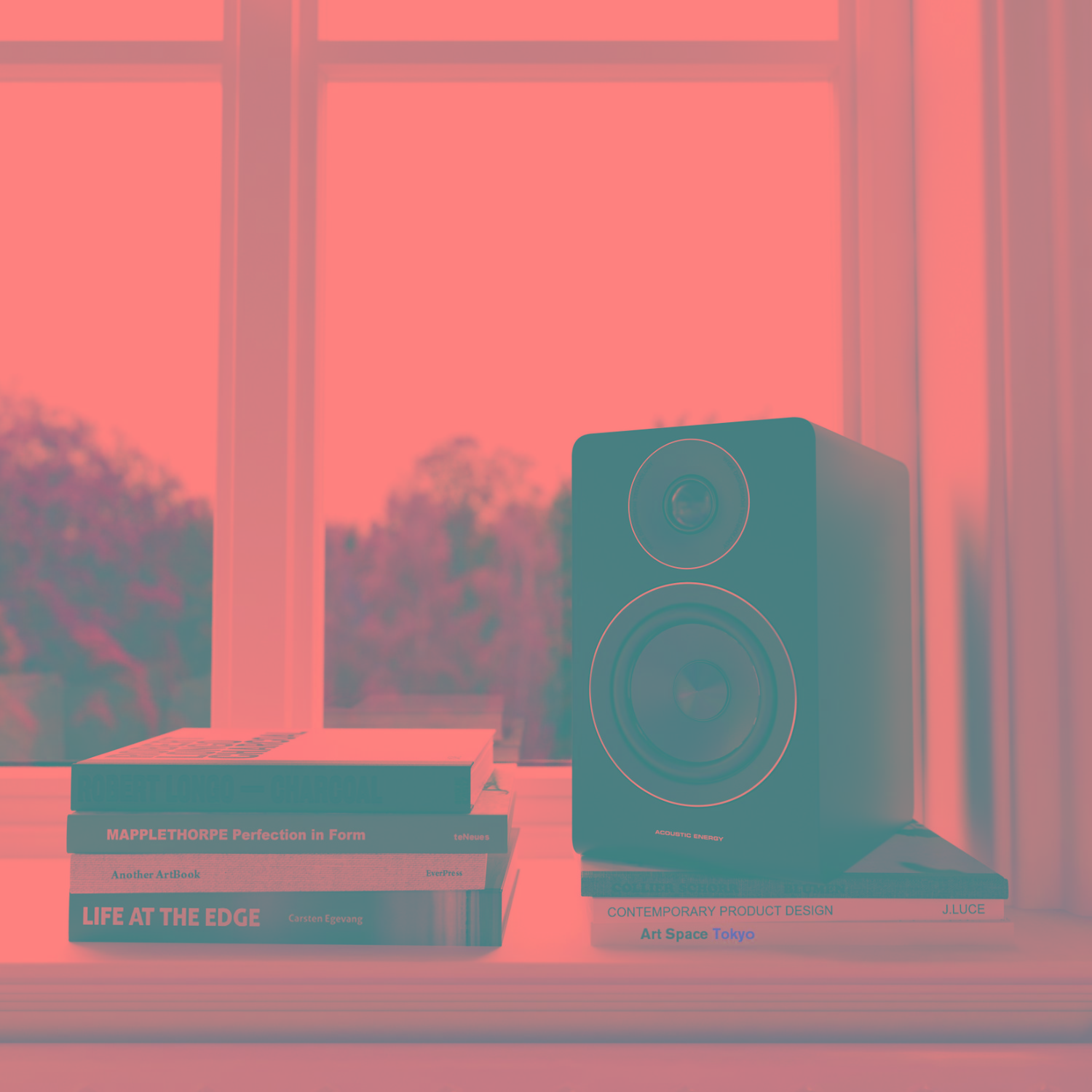 Acoustic Energy AE100