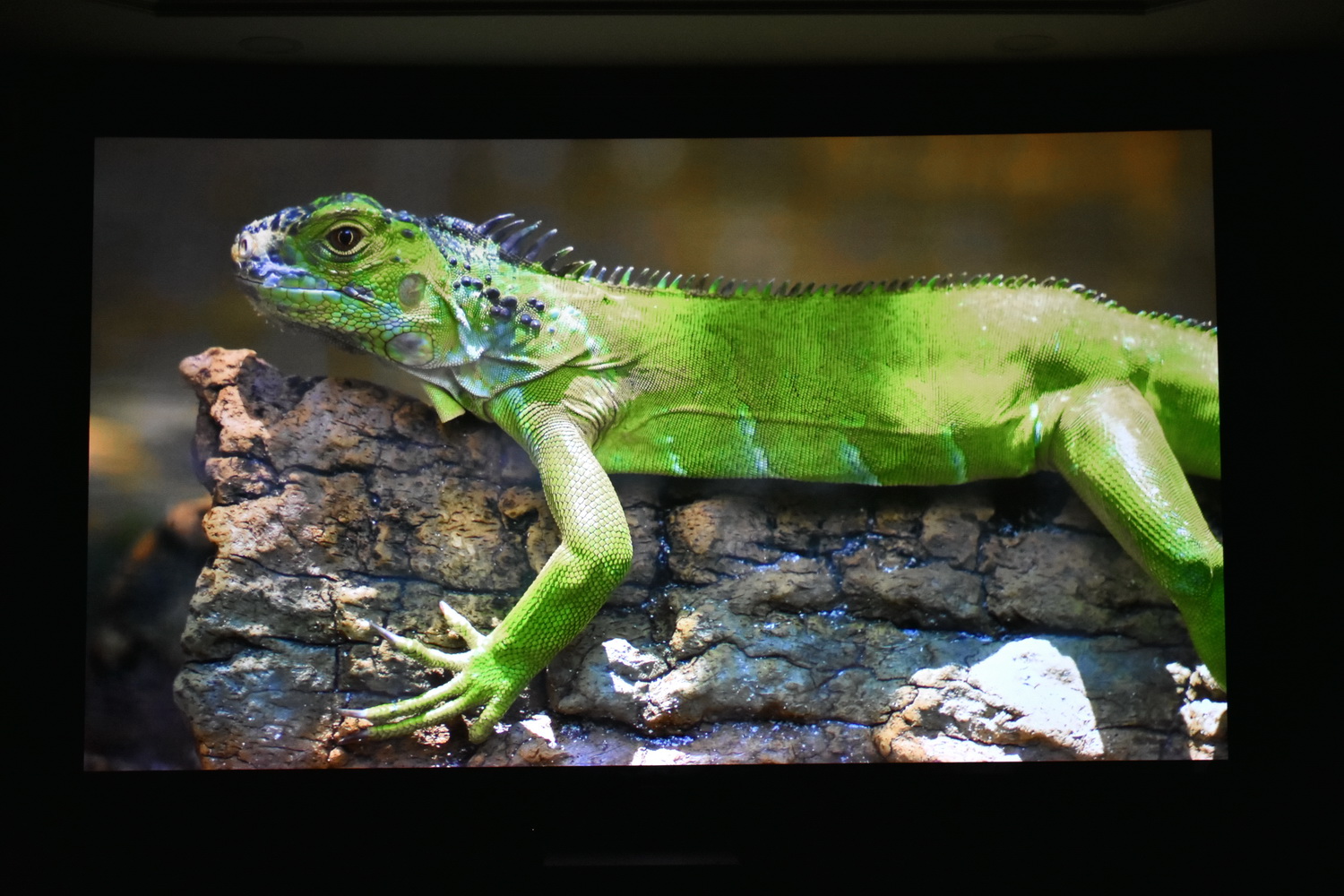 Review máy chiếu 4K BenQ W2700