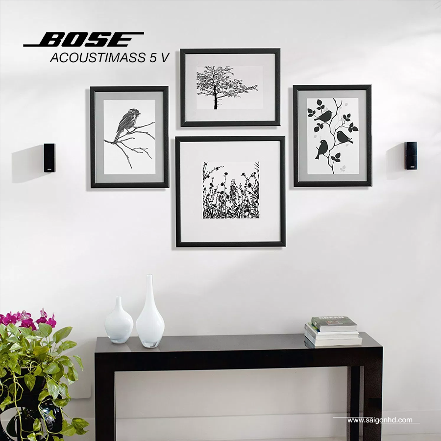 Bose Acoustimass 5 Series V