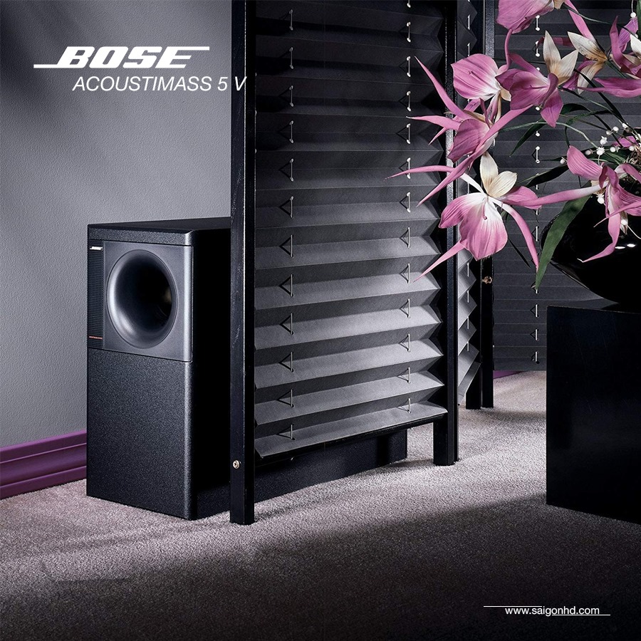 Bose Acoustimass 5 Series V