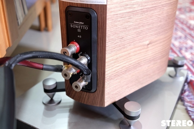 Sonus Faber Sonetto III