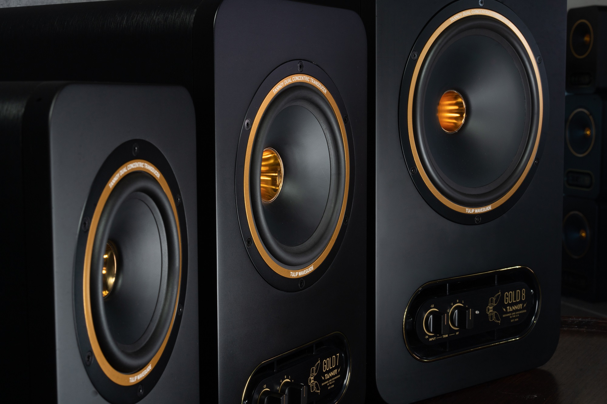 Tannoy Gold 5