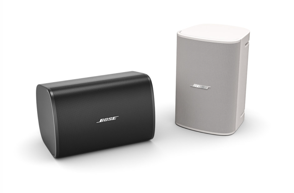 Bose Designmax DM6SE
