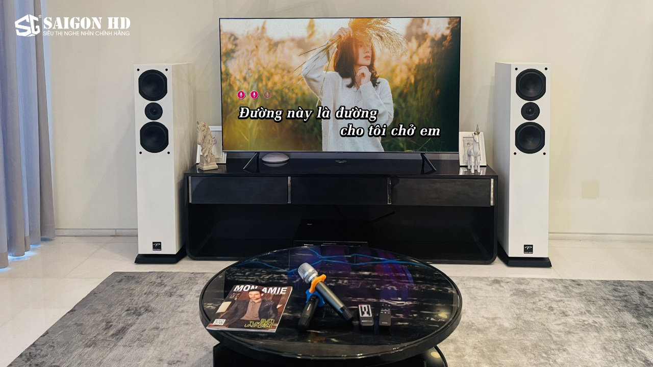 D&agrave;n &acirc;m thanh Karaoke gia đ&igrave;nh Paramax D88 Luxury ch&iacute;nh h&atilde;ng