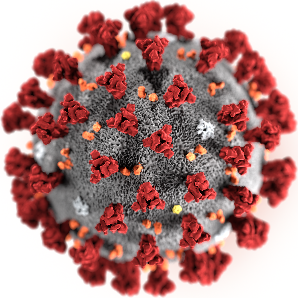 Hình ảnh phân tử corona virus